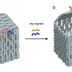 Image for article titled Here come the DNA robots
